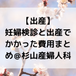 kenshinhiyou