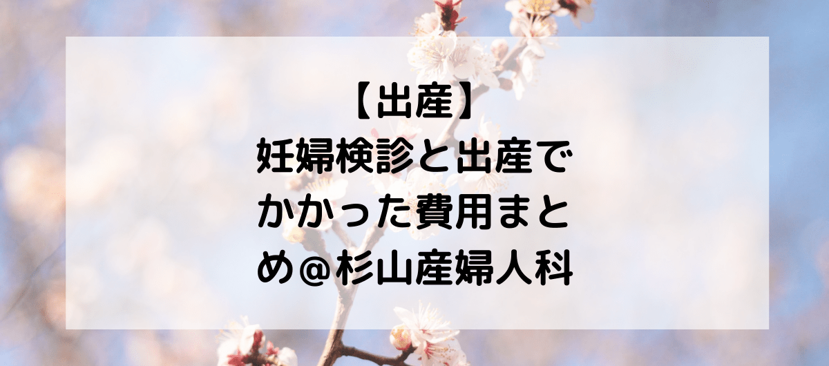 kenshinhiyou
